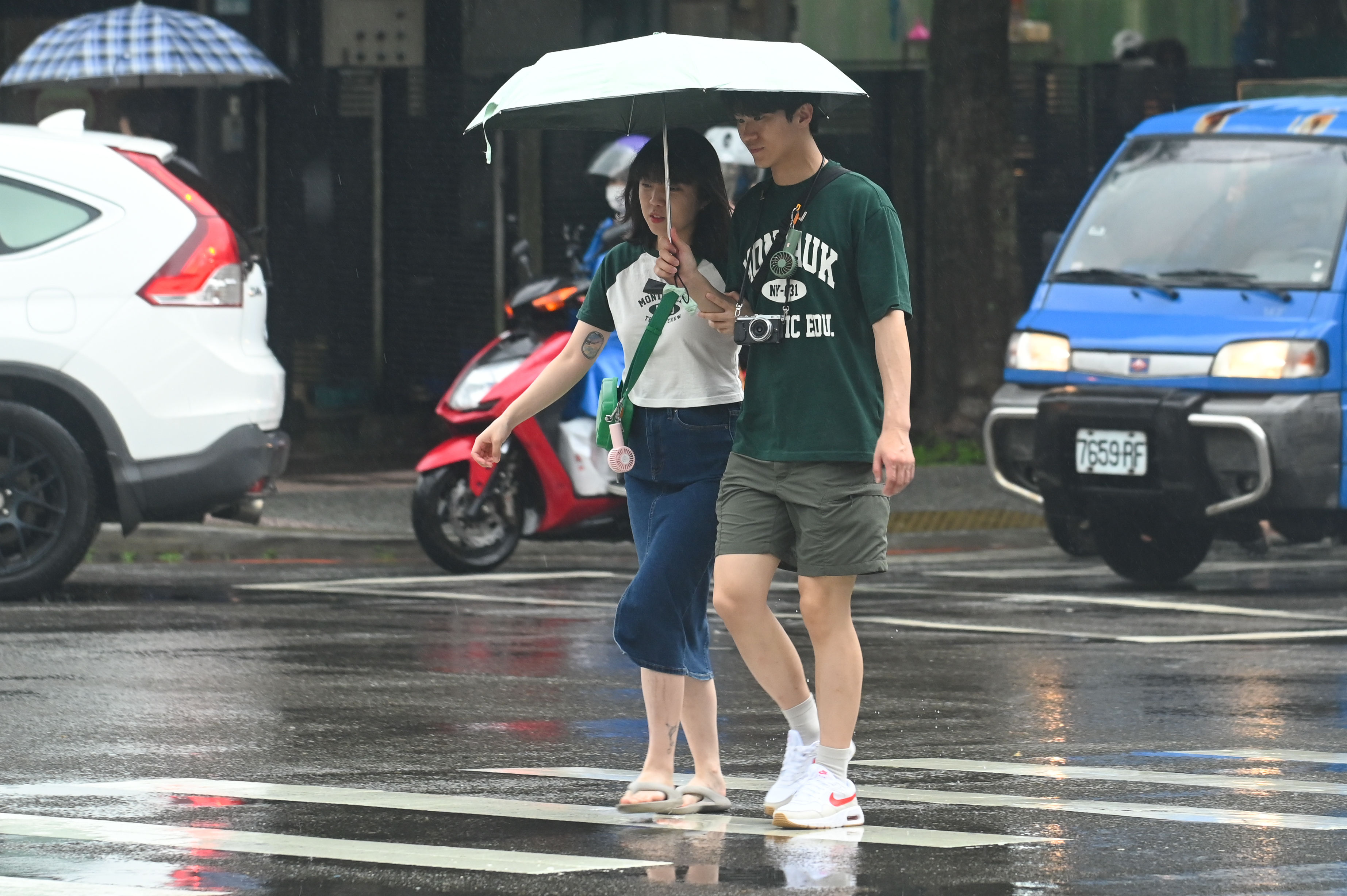 ▲海葵。（圖／記者李毓康攝）