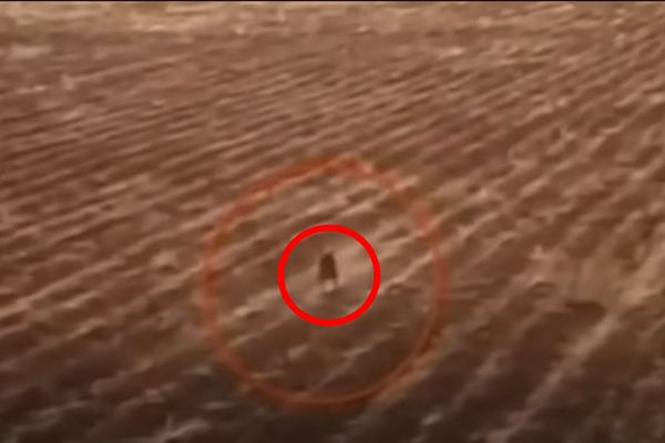 ▲▼無人機拍到疑似卓柏卡布拉的身影。（圖／翻攝自YouTube／New York Post）