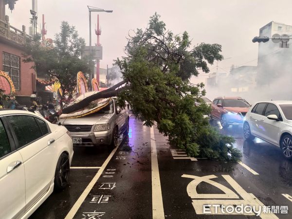 ▲台南市中西區保安路90號前，12日晚上6時38分許，疑天雨發生路樹倒塌並壓到路旁1輛汽車，當下車內2名女子急忙自車內及時逃離幸未受傷。（圖／記者林悅翻攝，下同）