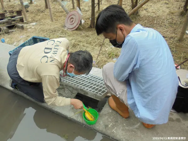 ▲▼防疫人員於台南市仁德區執行孳生源查核與清除，並進行化學防治，避免病媒蚊孳生。（圖／疾管署提供）
