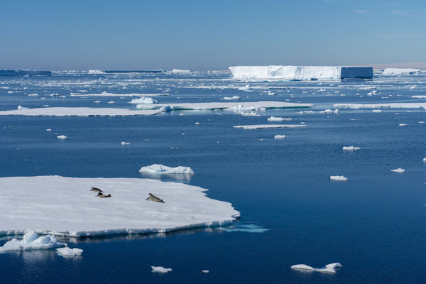 ▲▼南極洲威德爾海（Weddell Sea）。（圖／達志影像／美聯社）