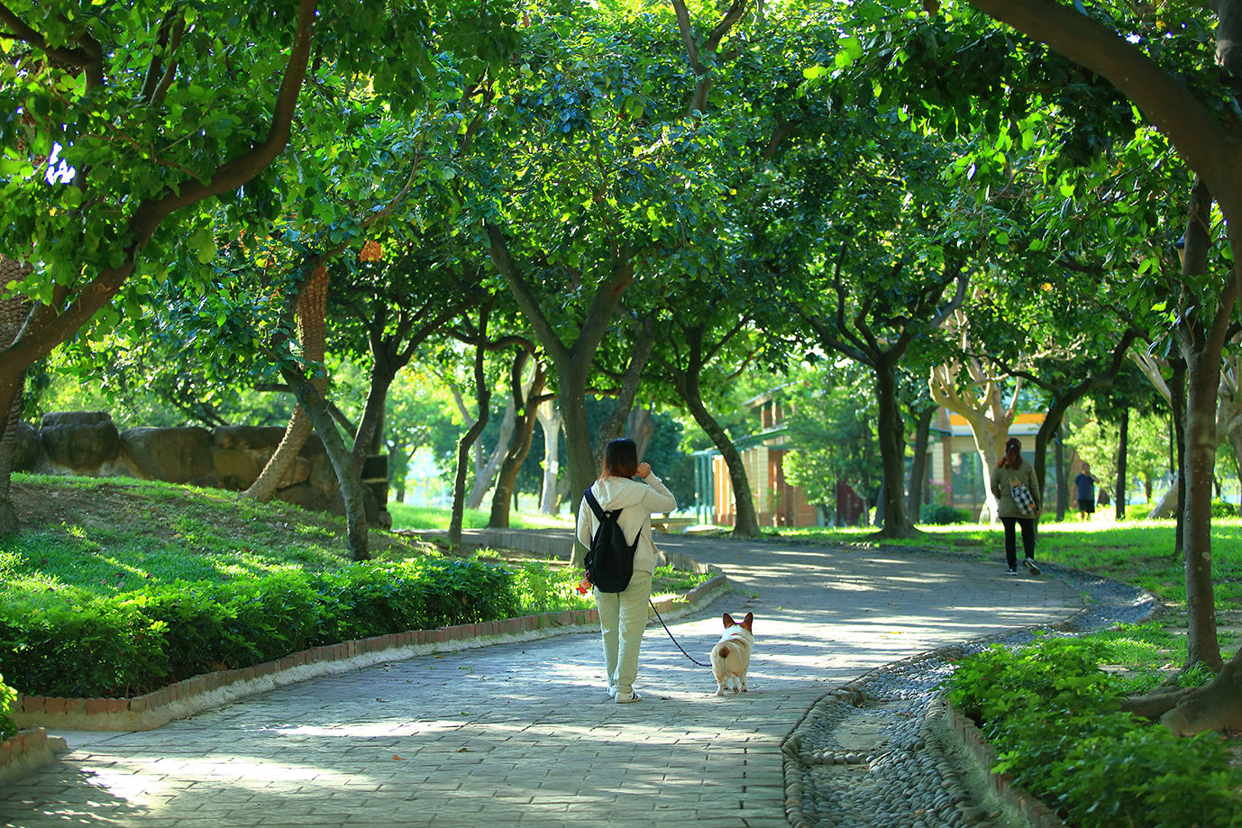 ▲▼左營,高鐵,世紀莊園,半屏山,蓮池潭,公設,恆鵬建設。（圖／業者提供）