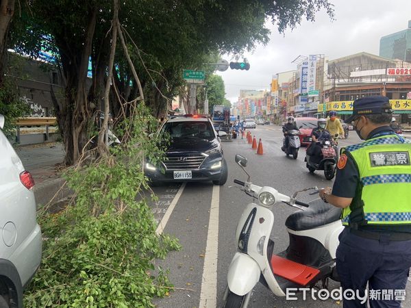 ▲台南1名23歲鄭姓男子，13日下午騎機車行經台南市北門路與公園南路口，疑被1根斷裂掉落的樹枝砸中人車倒場。（圖／翻攝自臉書台南大小事）