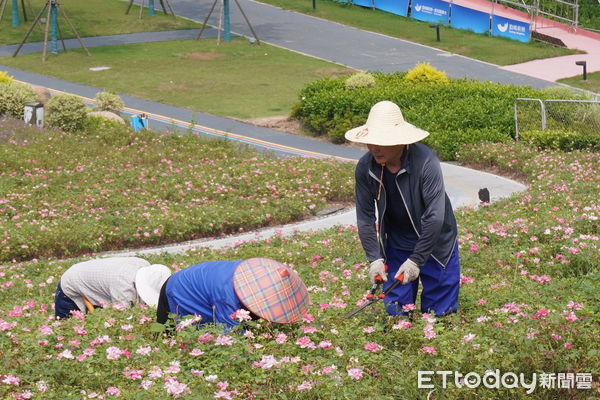▲▼富陽水上運動中心。（圖／記者蔡儀潔攝）