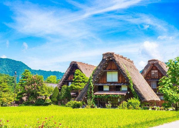 ▲▼立山黑部,七逗旅遊網,避暑。（圖／七逗旅遊網提供）