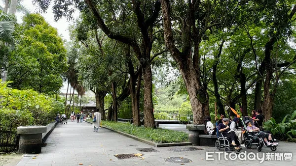 ▲台北植物園,休閒運動,長照外勞,親子休閒旅遊,健康運動,都市之肺,老人健康。（圖／記者謝婷婷攝）