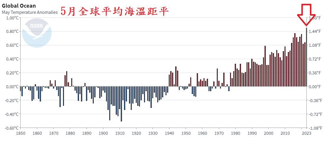 ▲▼5月全球平均海溫創新高。（圖／鄭明典）