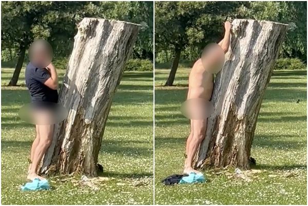 ▲▼英國男子在公園脫衣裸體，抱著樹幹做出不雅行為。（圖／翻攝自推特@JaydaBF、@Martyn89）