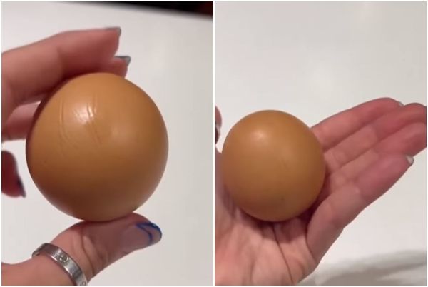 ▲▼澳洲一名維多利亞州居民買到一顆完美圓球體的雞蛋。（圖／翻攝自IG／jacquifelgate）