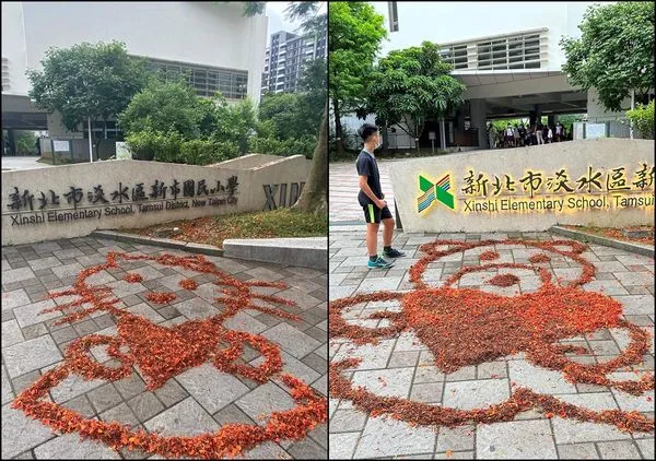 ▲▼掃把當畫筆！　國小警衛「鳳凰花排畫」超搶眼。（圖／網友授權使用）