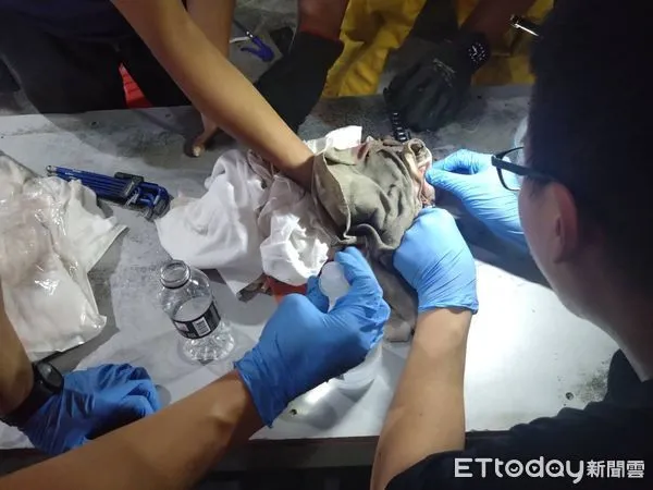 ▲工人手指被機器夾住請求救援，消防人員小心翼翼，慢慢地破壞鍊條，終於讓該名工人脫困，送成大醫院救治。（圖／民眾提供，下同）