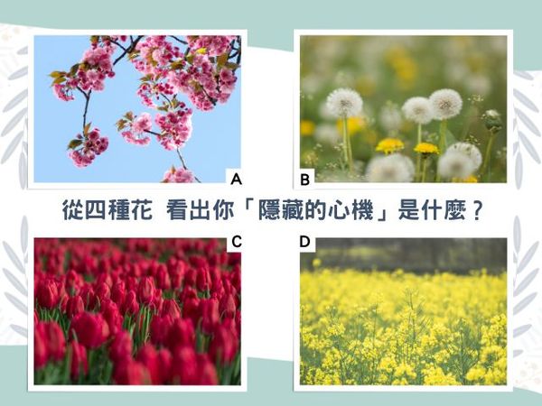 ▲選一種花， 測你「隱藏的心機」是什麼？（素材／取自免費圖庫pexels 記者陳怡真製圖）