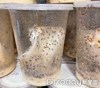 果蠅停過的飯菜還能吃嗎?專家曝「4種情況別冒險」 幼兒、長者最好丟掉