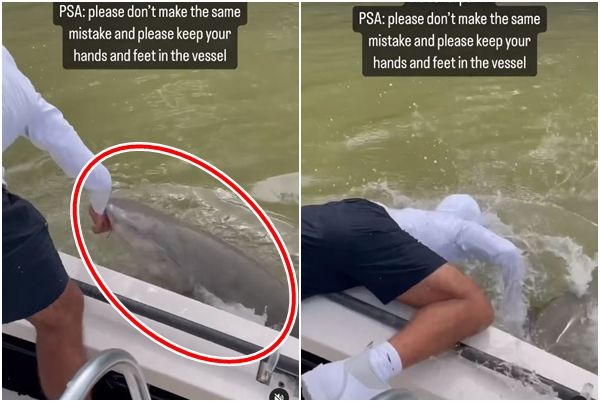 ▲▼男子在佛州大沼澤地國家公園被鯊魚拖入水中。（圖／翻攝自Instagram／@florida）