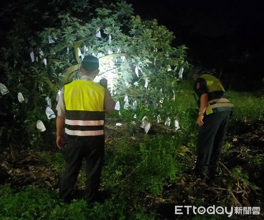 ▲善化分局頭社所所長黃勝潮，帶著警衛犬「霸王」，在專案期間駕駛巡邏車於轄內各處果園執行護果勤務，充份發揮嚇阻防竊效用。（圖／記者林悅翻攝，下同）