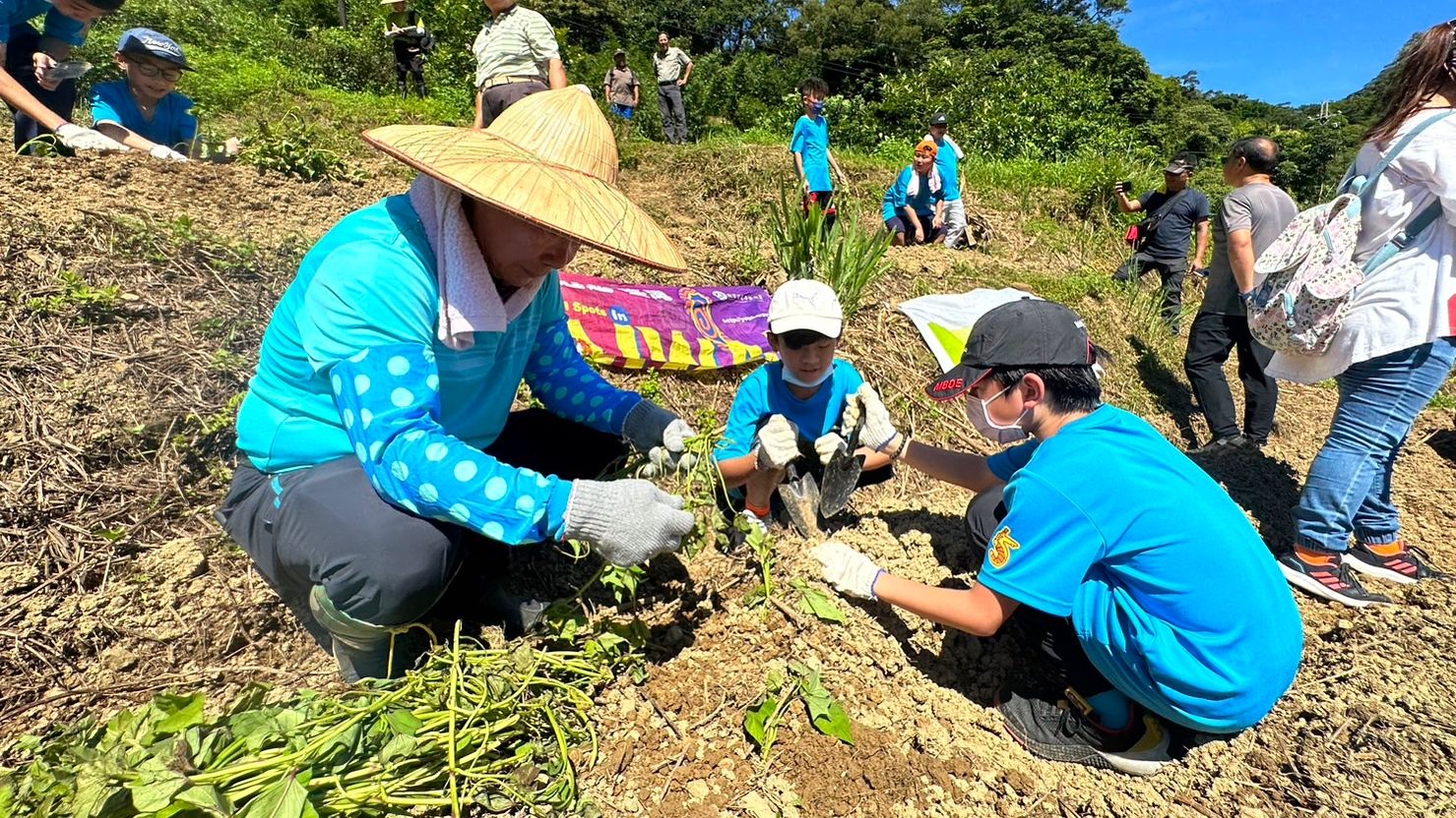 ▲新北連續13年種地瓜送愛心 深坑農會結合食農教育做公益。（圖／新北市農業局提供）