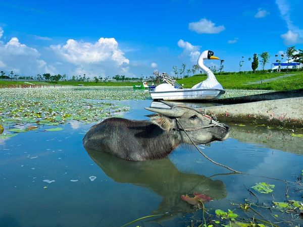 ▲潮州鐵道園區生態            。（圖／潮州鐵道園區提供）