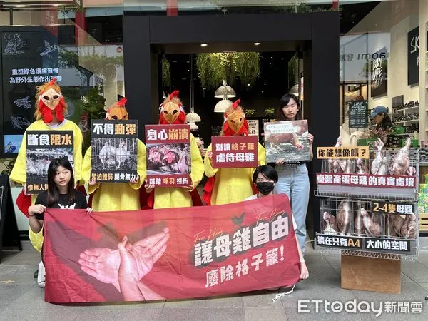 ▲台灣動物社會研究會與LUSH推動「廢除格子籠，讓母雞自由」活動。（圖／記者楊惠琪攝）