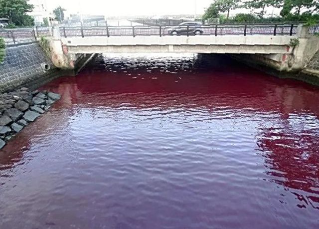 ▲▼日本沖繩名護市的水都被染紅。（圖／番社第11管區海上保安本部）