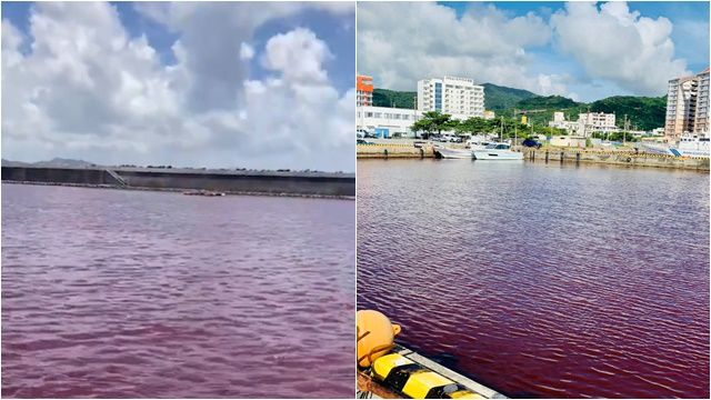 ▲▼日本沖繩名護市的水都被染紅。（圖／翻攝推特）