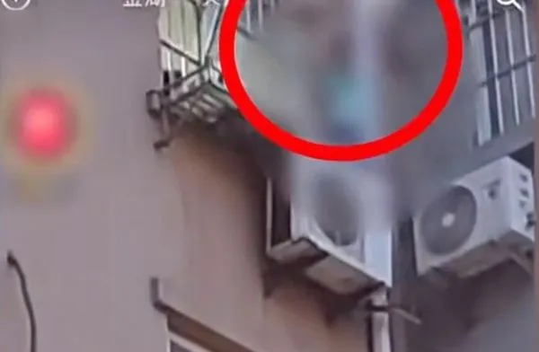 ▲▼             。（圖／）