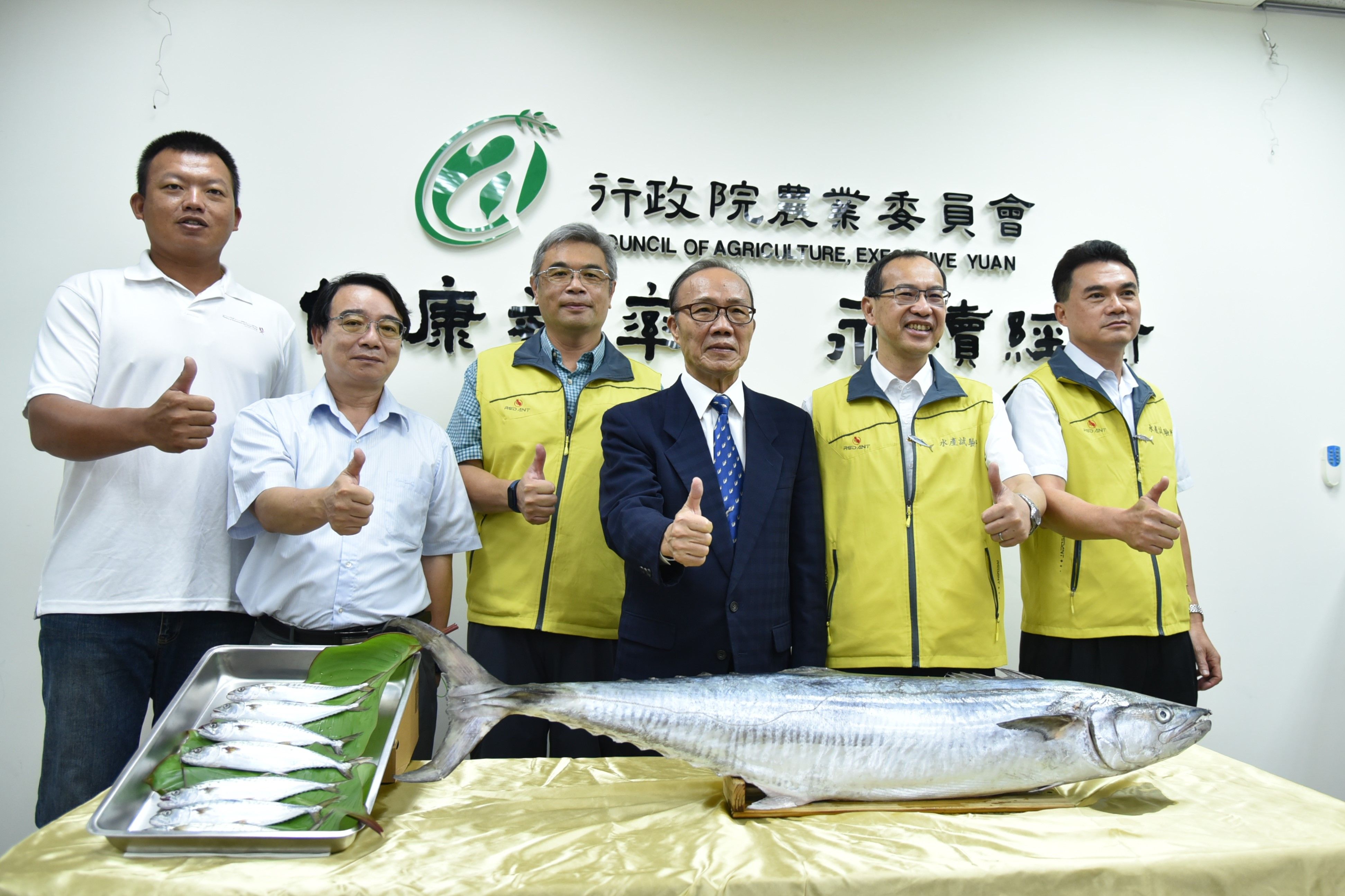 ▲▼農委會水試所宣布，台灣完成全球首例土魠魚人工繁殖。（圖／農委會提供）