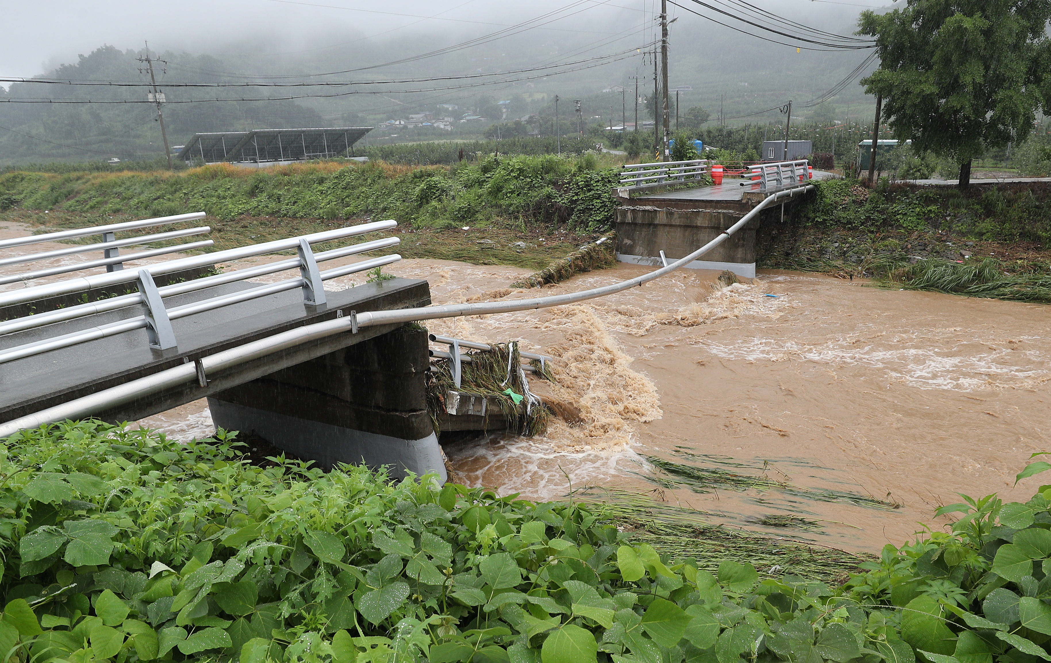 ▲▼南韓慶尚北道榮州市鳳峴面下村橋遭暴漲的河水和豪雨沖垮。（圖／達志影像）