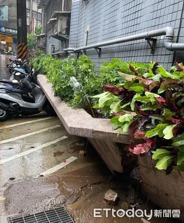 ▲▼ 午後雷雨            。（圖／記者戴上容翻攝）