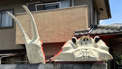 大阪住宅「門口擺大螃蟹」打招呼　巨螯超顯眼網笑：搞笑之都沒錯　