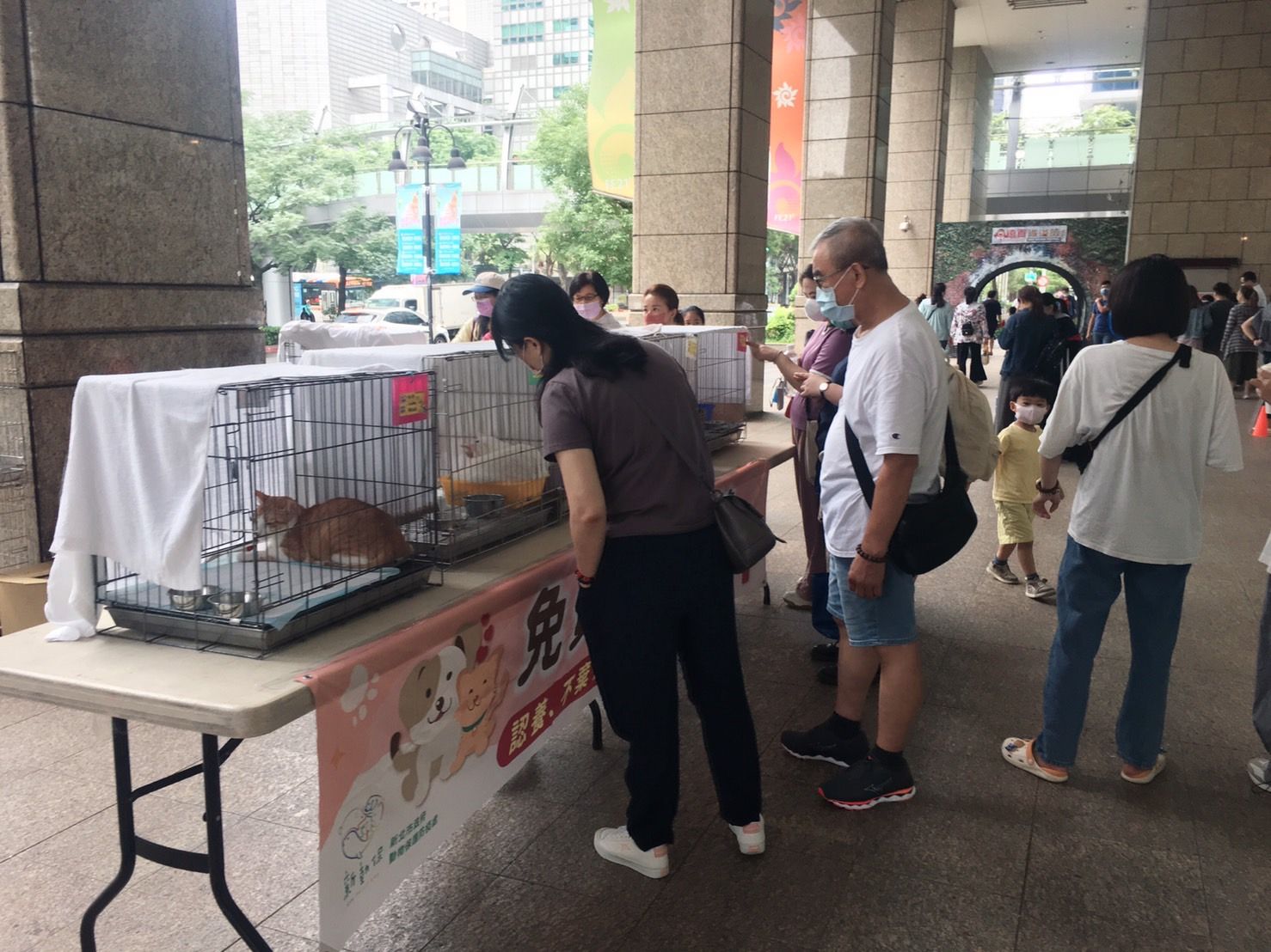 ▲新北加碼添犬貓認養福利 寵物保險補助最高3000元。（圖／新北市動保處提供）