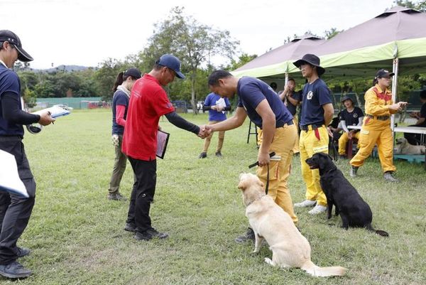 消防署舉辦全國災害搜救犬IRO國際評量檢測，針對優秀犬隻進行評測。（消防署提供）