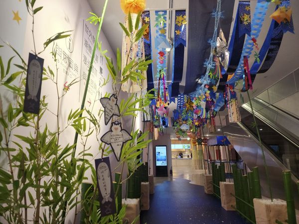 ▲日本仙台「七夕祭」Xpark原汁原味呈現