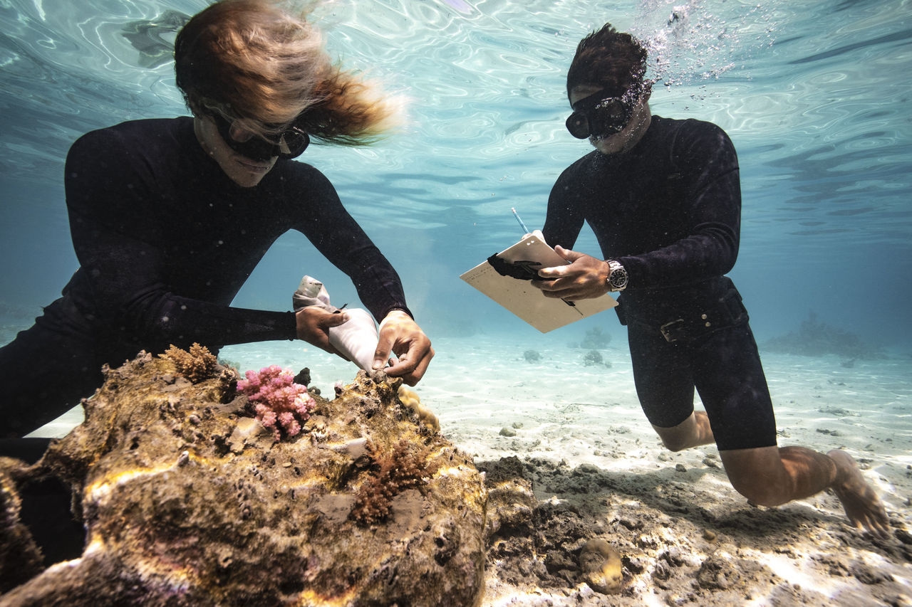 ▲▼勞力士通過「保護地球・恒動不息」計劃。「珊瑚園丁」：這些「海洋之子」於全球推行珊瑚保育。（圖／勞力士提供）