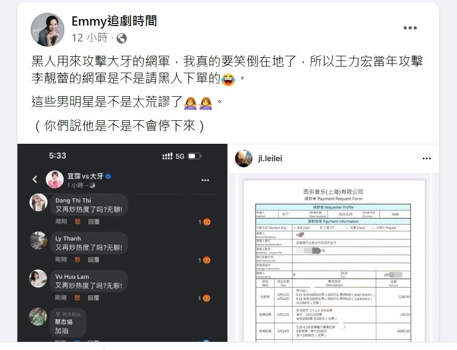 ▲財經網美酸王力宏當年的網軍是黑人幫忙找的。（圖／翻攝自Emmy追劇時間臉書）