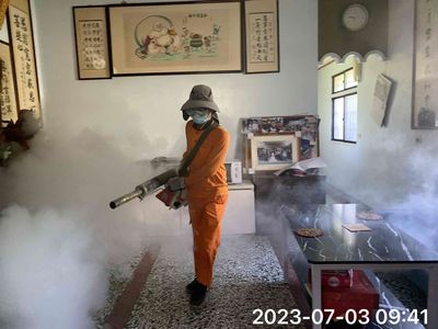 登革熱消毒藥劑「具極強魚毒性」 專家疾呼戶內噴藥前魚缸要加蓋