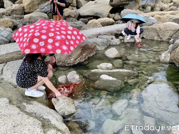 ▲基隆旅遊,正濱漁港,《八尺門的辯護人》導演和演員,大坪海岸,八斗子社區,。（圖／記者彭懷玉攝）