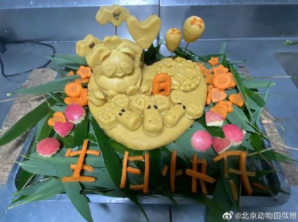 ▲大熊貓萌蘭歡慶8歲生日。（圖／翻攝自微博「北京動物園」）