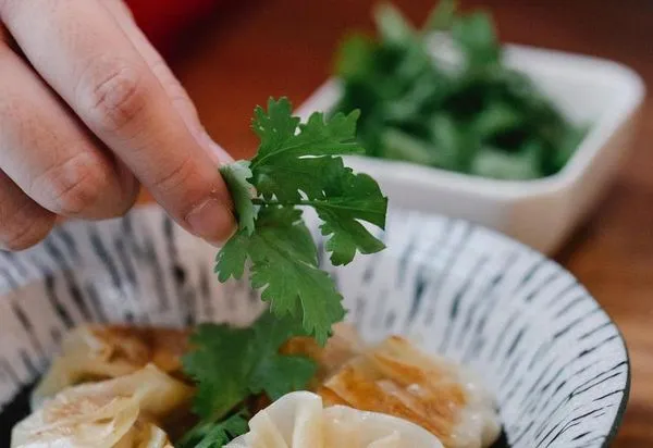 情侶因為香菜在餐桌上翻臉。（Pexels）