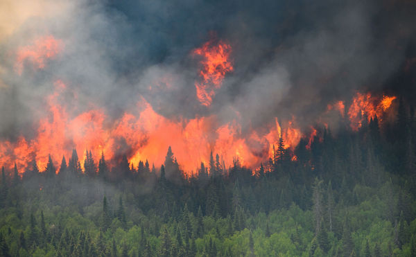 ▲▼ 加拿大野火,森林大火。（圖／路透）