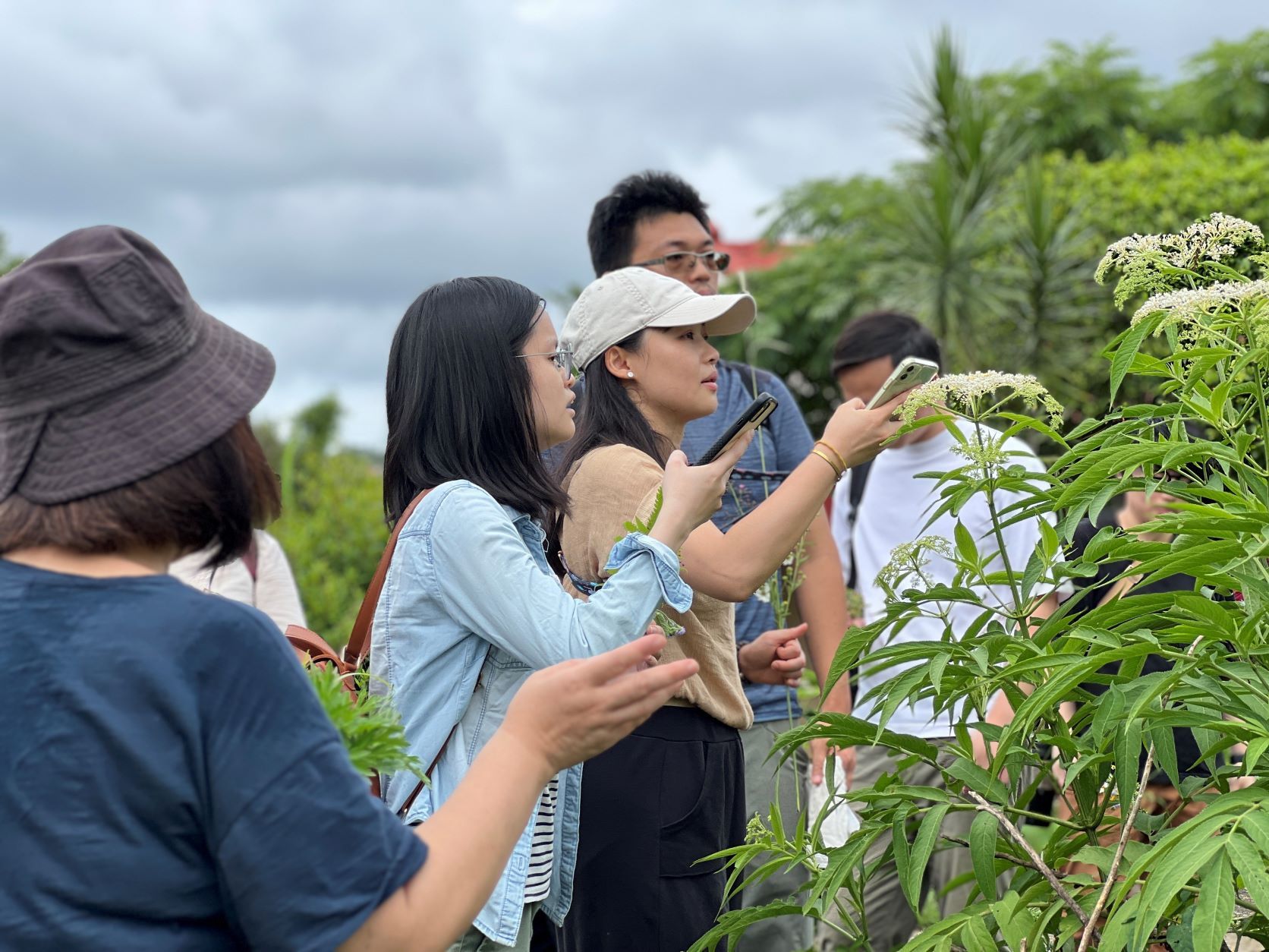 ▲新北三芝樂天農再社區青年返鄉 藝術結合小旅行推廣家鄉之美。（圖／新北市農業局提供）