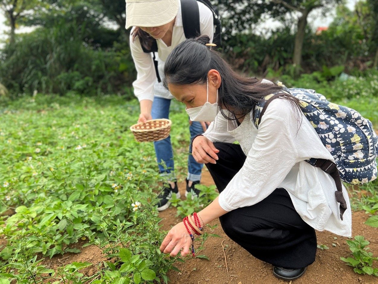 ▲新北三芝樂天農再社區青年返鄉 藝術結合小旅行推廣家鄉之美。（圖／新北市農業局提供）