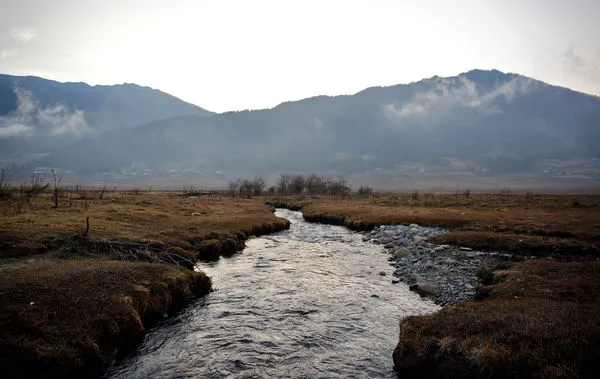 ▲▼不丹富畢卡峽谷（Phobjikha Valley）的一條小溪。（圖／路透）