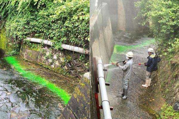 ▲▼日本奈良縣生駒市著名的賞楓景點「龍田川」在5日清晨突然變成一片螢光綠色。（圖／翻攝自推特）