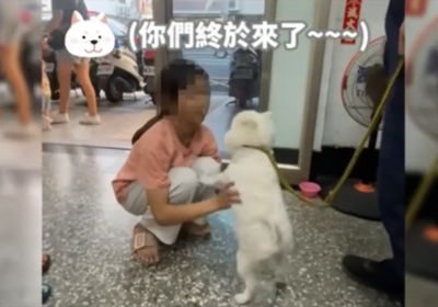 高雄博美穿車陣遇警察幫回家 小主人喊「謝謝阿北」惹笑網友