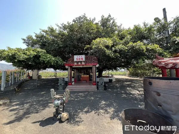 ▲屏東縣政府標售土地             。（圖／記者陳崑福翻攝）