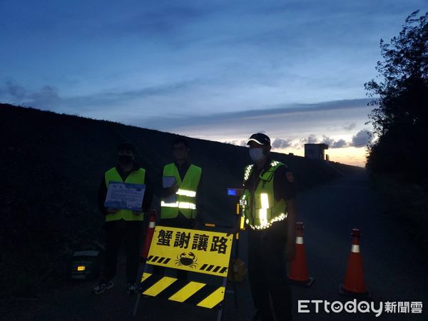 ▲為保護兇狠圓軸蟹順利繁衍，保七總隊第七大隊，配合台江國家公園管理處於今年7、8月陸蟹降海釋幼遷徙高峰期，在青草崙堤防防汛道路執行護蟹專案。（圖／記者林悅翻攝，下同）