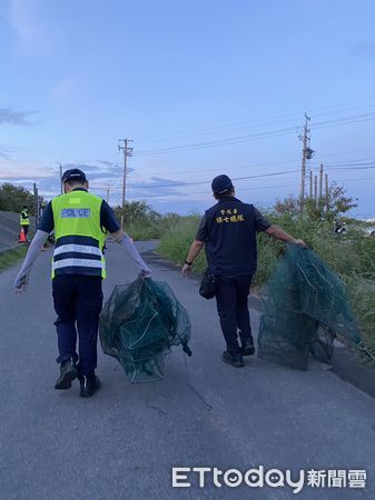 ▲為保護兇狠圓軸蟹順利繁衍，保七總隊第七大隊，配合台江國家公園管理處於今年7、8月陸蟹降海釋幼遷徙高峰期，在青草崙堤防防汛道路執行護蟹專案。（圖／記者林悅翻攝，下同）