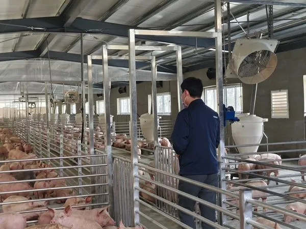 ▲▼陳冠廷公布養豬場相關資料。（圖／翻攝陳冠廷臉書）