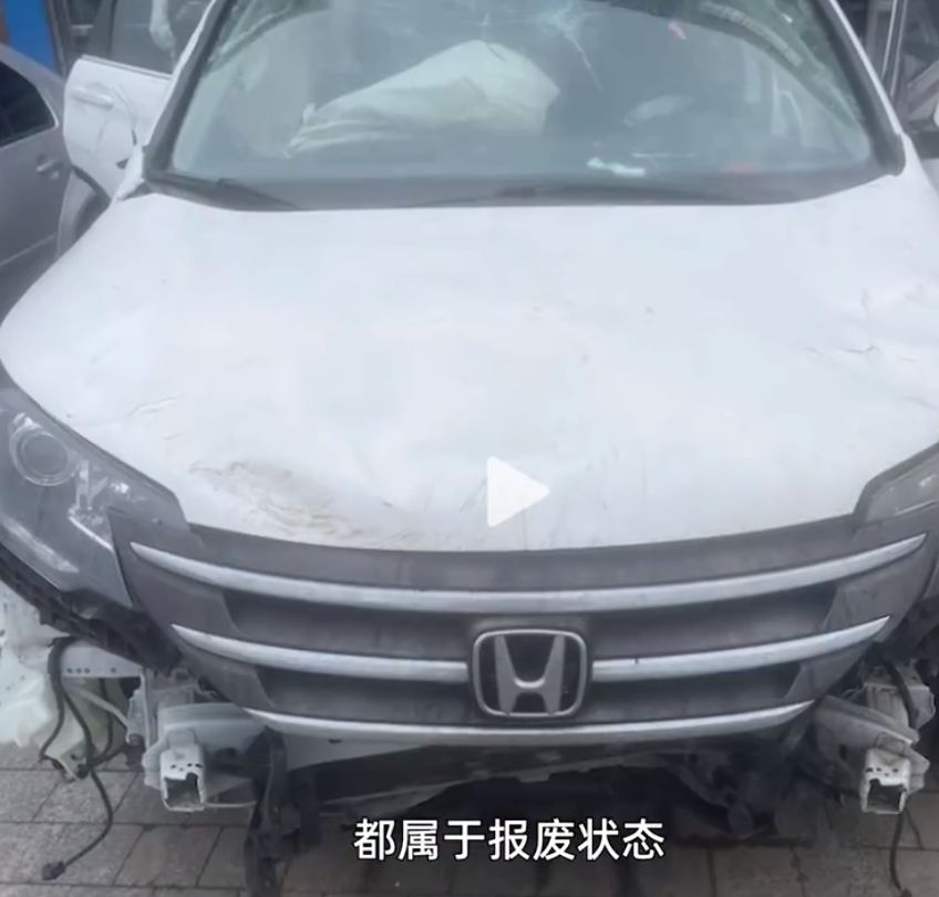 ▲▼黑熊撲車。（圖／翻攝微博）