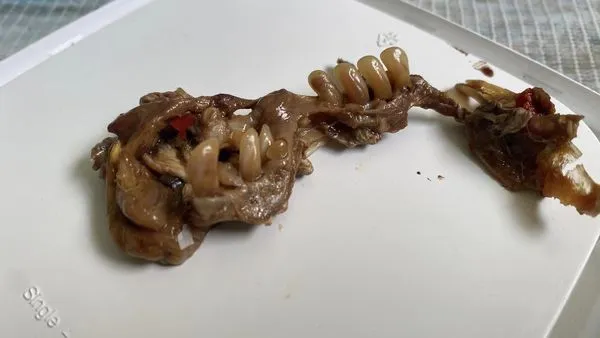 ▲▼泰國一名女子在木瓜沙拉中吃到一根帶牙齒的骨頭。（圖／翻攝自Facebook）